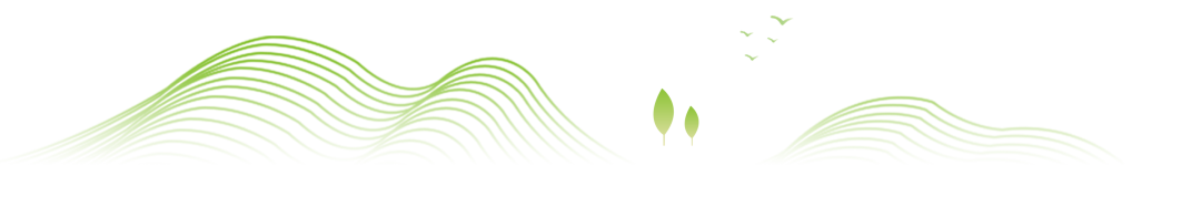 吳江區人大常委會主任錢斌蒞臨鴻灌環境調研指導(圖2)