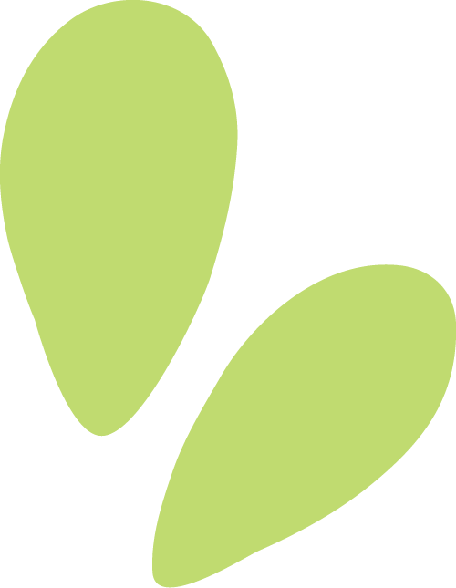 鴻灌環(huán)境再下一城！成功中標雄安新區(qū)容東環(huán)境衛(wèi)生運營項目(圖4)